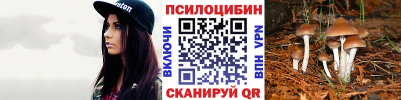 OMG ТОР  Джанкой  Псилоцибиновые грибы MAGIC MUSHROOMS 